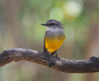 Island Point Reserve